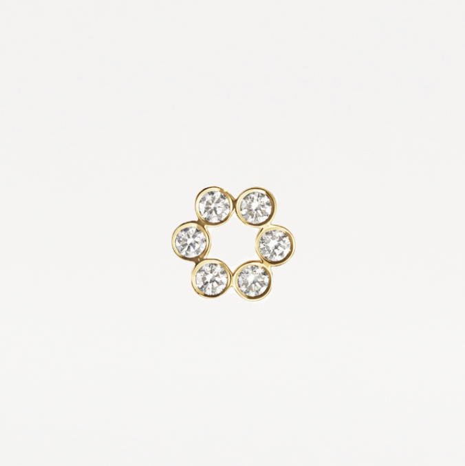Arete florecita