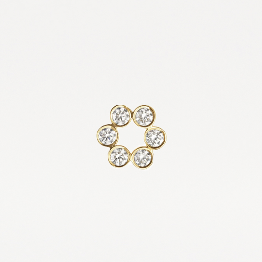 Arete florecita