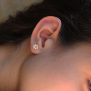 Arete florecita